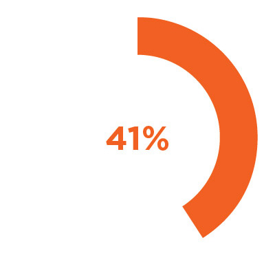 41% of our graduates borrowed a student loan