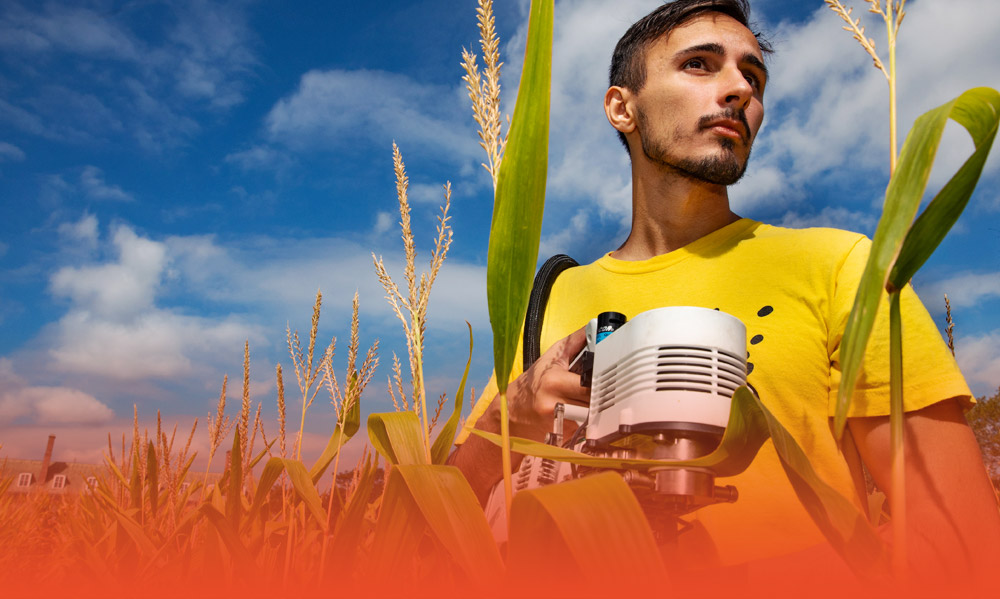 student working in the Morrow Plots, the oldest experimental agricultural field in America