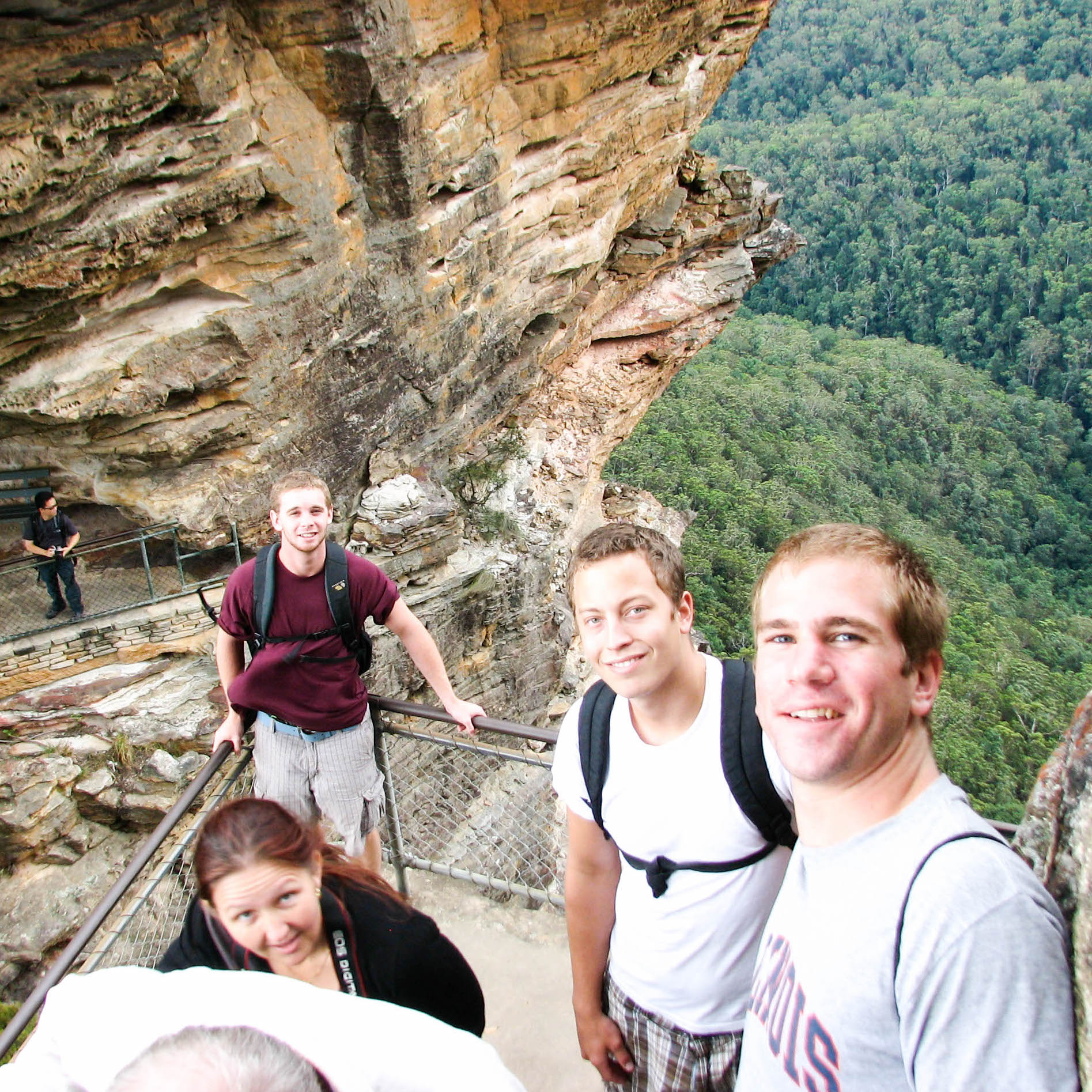students enjoying a climb and a higher perspective on an Australian rainforest